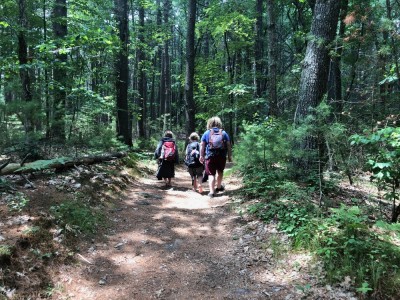 the boys walking along a woods path in their swimsuits