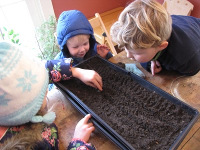 Harvey, Zion, and Taya planting onion seeds at the kitchen table