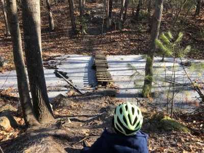 Harvey looking down at a rickety bridge over a frozen pond