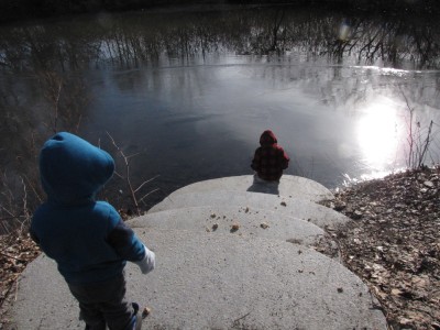 Zion checking the very thing ice on Alewife Brook