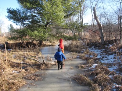 the boys walking down an aisle of ice towards a pine tree