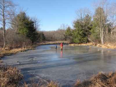 Harvey and Zion far away on a frozen pond among the reeds