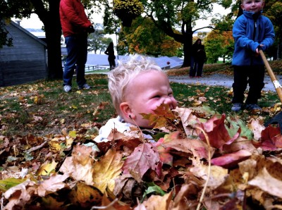 Lijah in a leaf pile; the ocean just barely visible behind him