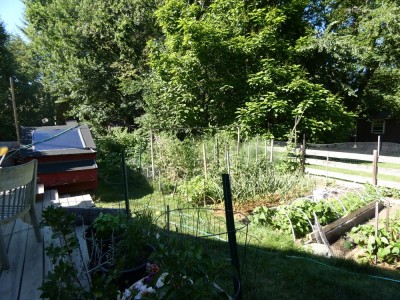 the garden on July 3