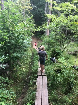 the boys walking across a boardwalk in a jungly patch of woods