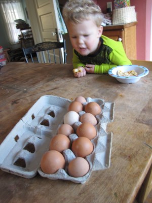 Lijah looking thoughtfully at the full egg carton