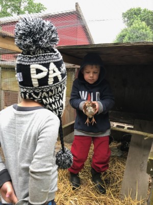 Zion holding one of the young hens, Lijah looking on