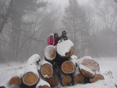 Harvey, Jack, and Megan atop a stack of logs in the driving snow