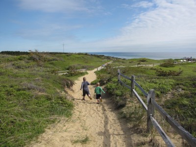 Harvey and Zion running down a path through the dunes