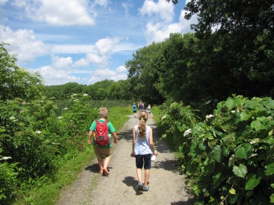 kids hiking on a sunny path through the marsh