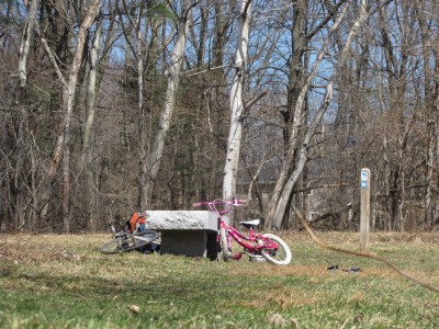 Harvey's pink bike and my gray one leaning against a stone bench in the meadow