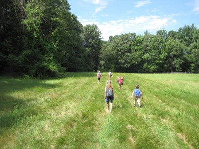 kids walking through a meadow