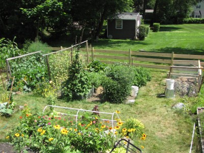 a view of the garden from the porch