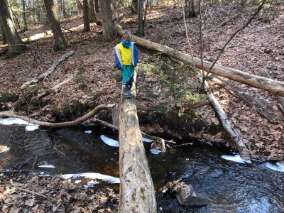 Elijah crossing a log over a stream