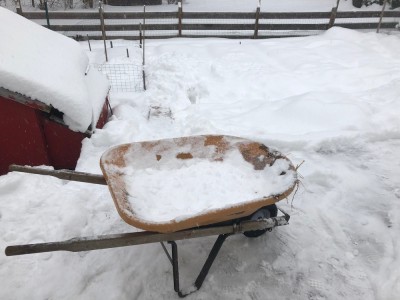 the wheelbarrow on the snowy deck