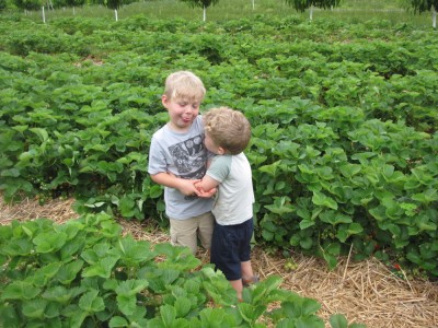 Zion and Lijah being silly in the strawberry field