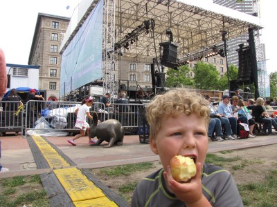 Harvey eating an apple in front of the Copley Arts Festival stage