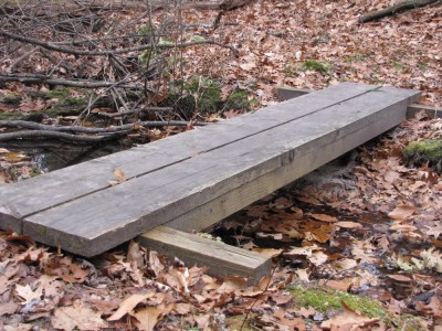 a sturdy plank bridge over a tiny stream