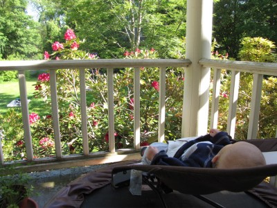 Elijah napping on the porch overlooking the rhododendron