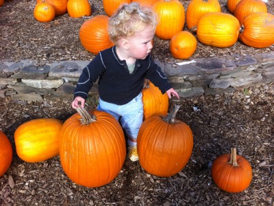 Harvey and some pumpkins at Parlee Farms