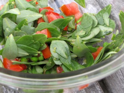 close-up of salad with purslane and tomatoes