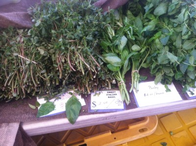 purslane for sale at the farmers market, on a table next to some basil and mint