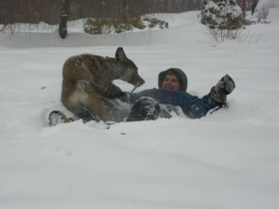 Rascal attacking Danny in the snow