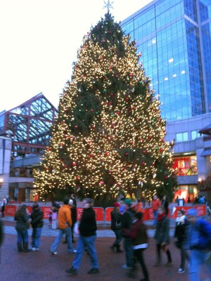 a gigantic Christmas tree at Quincy Market
