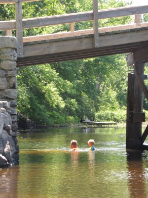Harvey and Zion swimming under the Old North Bridge