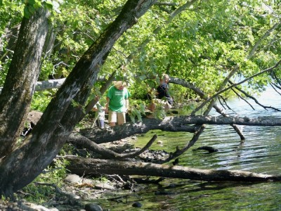 the boys playing in the trees along the shores of the Concord River