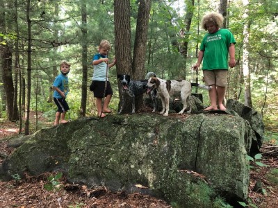 the boys and dogs atop a big rock in the woods