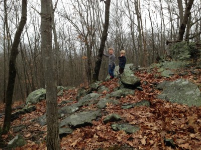 Harvey and Zion climbing on some rocky outcropping in the woods
