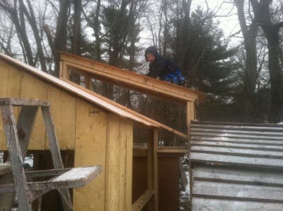 Zion on the roof of the in-progress playhouse