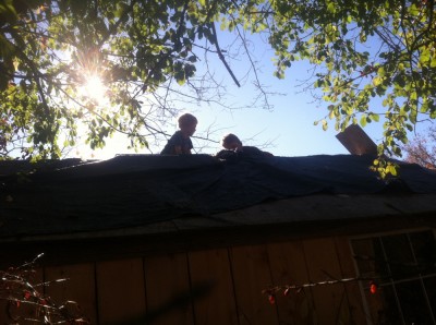 Harvey and Zion on the roof of the shed