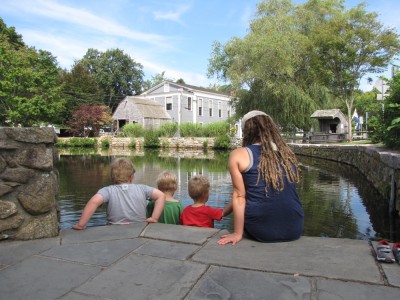 the rest of the family getting up close to a pond in historic Sandwich