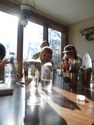 Lijah looking at a pair of experimental water-filled jars on a table