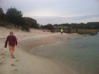 Harvey and friends walking on a secret beach