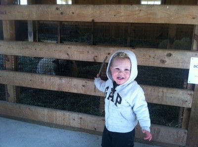 Lijah pointing at the sheep pen in the barn
