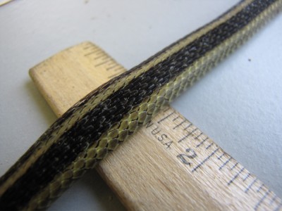 close-up of the snake's back, on a ruler