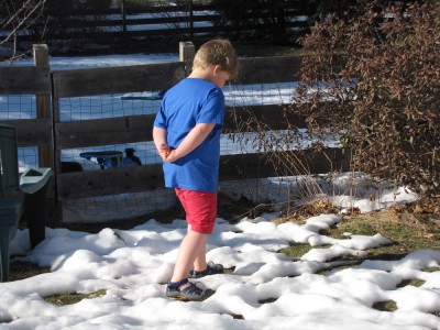 Harvey walking in the snow in shorts and sandals