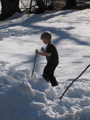 short-sleeved Zion playing with a stick in the snow