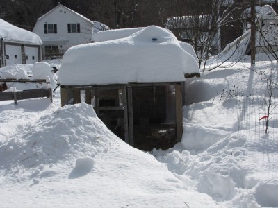 the chicken coop covered with lots of snow