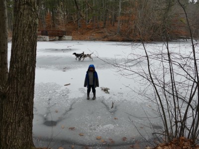 Zion standing on ice of a pond, the dogs running behind him