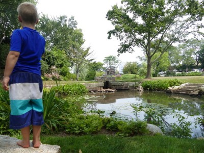 Zion looking at a beautifully landscaped pond