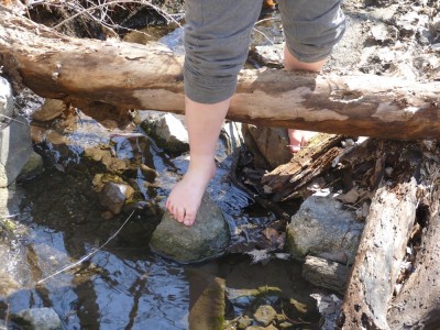 Harvey walking barefoot in a creek
