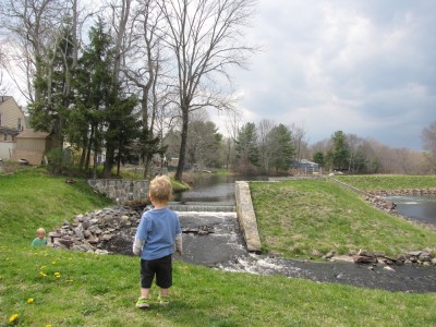 Lijah looking out over the pond and falls