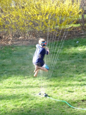Zion jumping through the sprinkler in front of forsythia