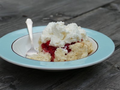 a dish of strawberry shortcake on our picnic table