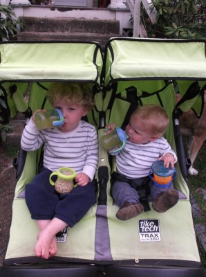 the boys in the stroller