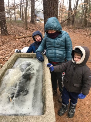 the boys, bundled up, looking at the ice in a stone horse trough